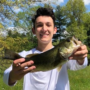 Meet your Posher, Shaun